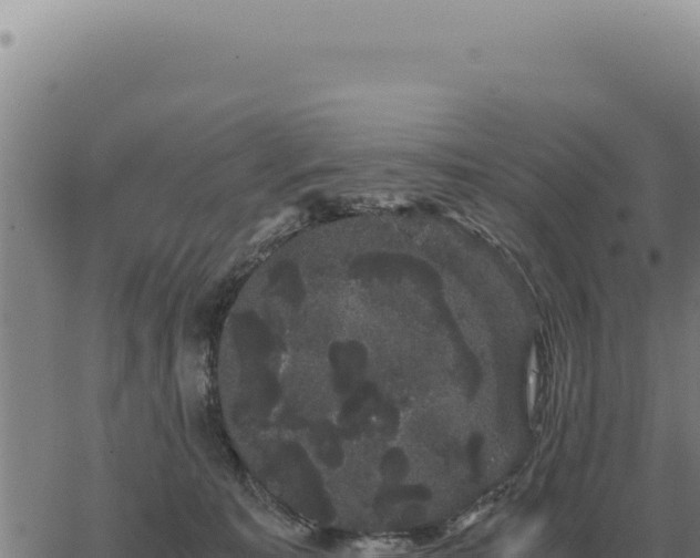 X0000063500323200601271751