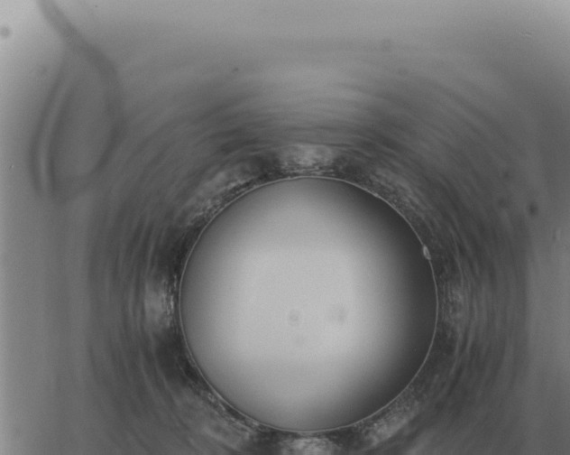 X0000063500324200601271751