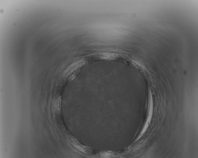 X0000063500325200601271751