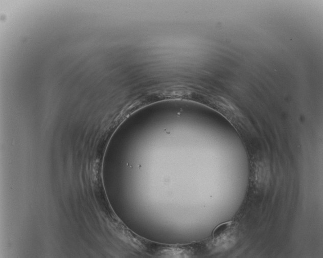 X0000063500326200601271751