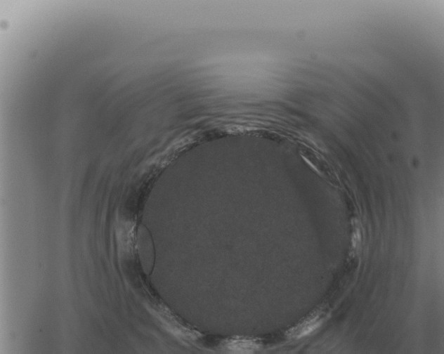 X0000063500327200601271751