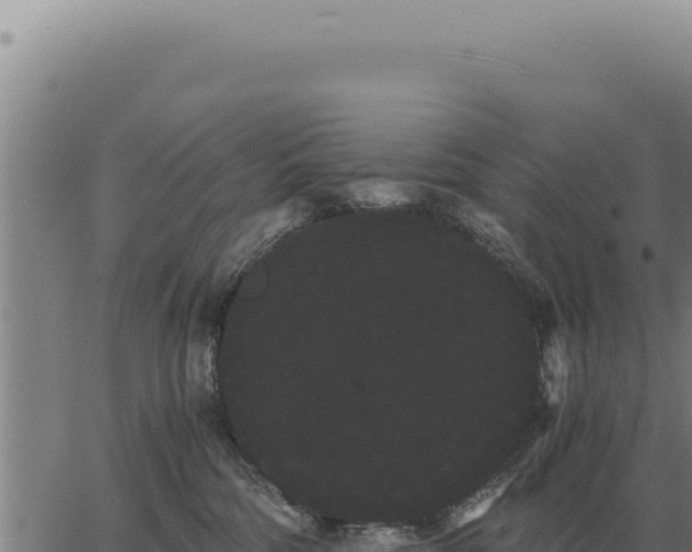 X0000063500330200601271751