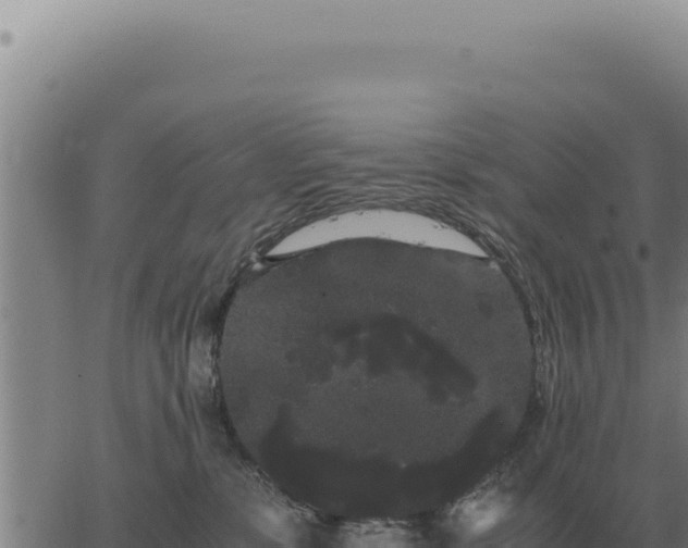 X0000063500331200601271751