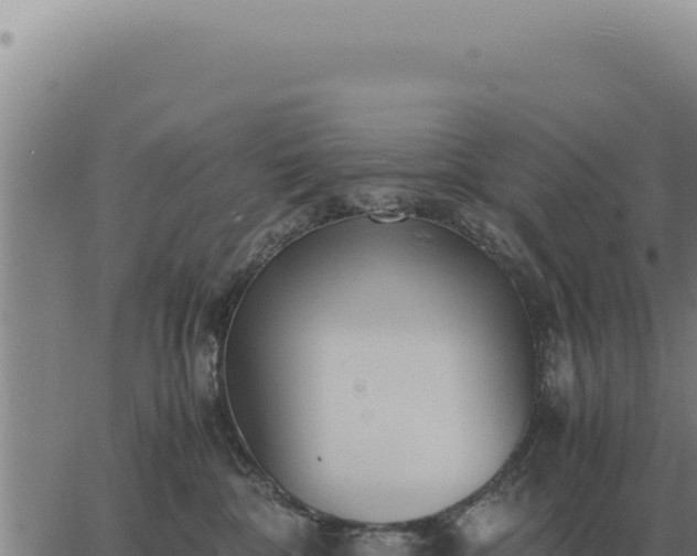 X0000063500332200601271751