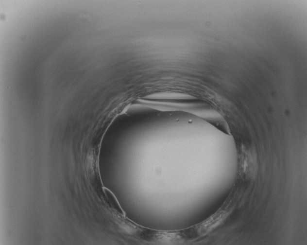 X0000063500333200601271751