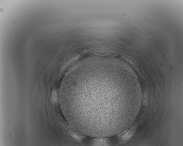 X0000063500335200601271751