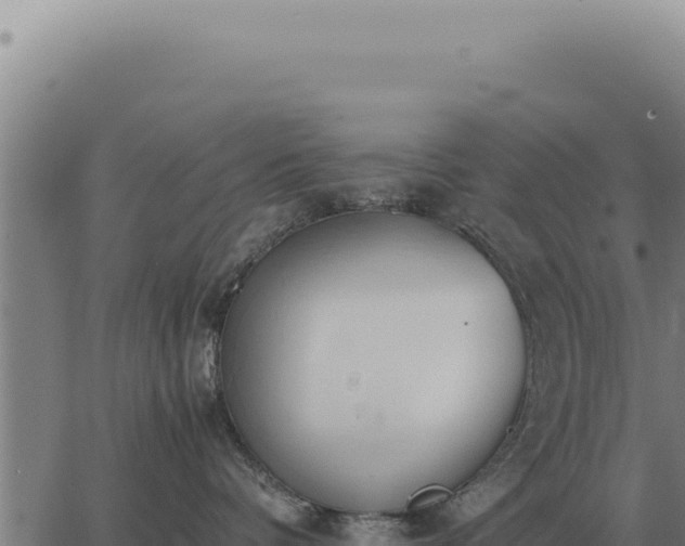 X0000063500336200601271751