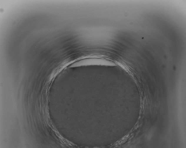 X0000063500337200601271750