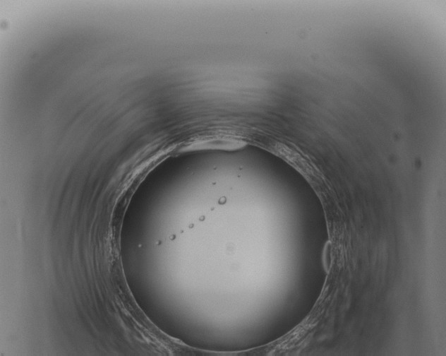 X0000063500338200601271750