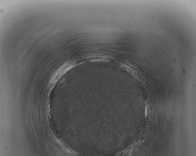 X0000063500339200601271750