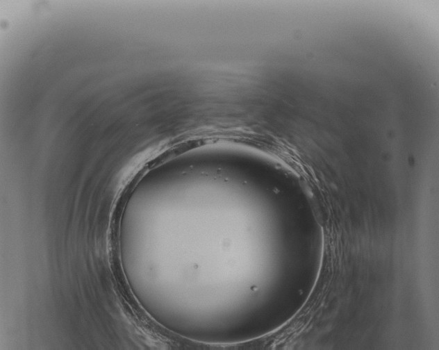 X0000063500340200601271750