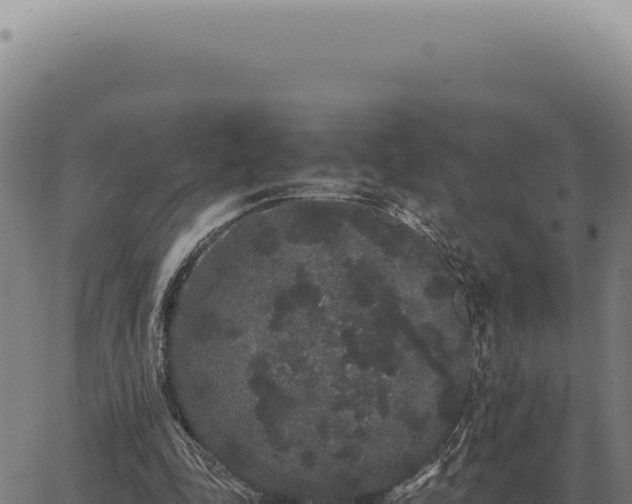 X0000063500343200601271750