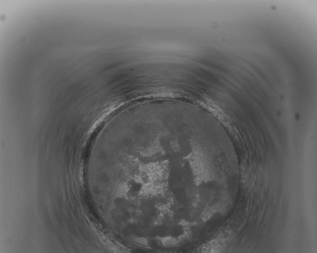 X0000063500347200601271750