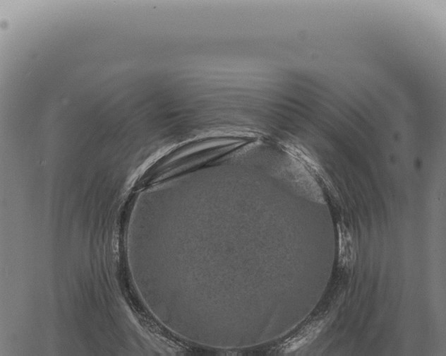 X0000063500348200601271750