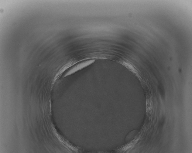 X0000063500349200601271750