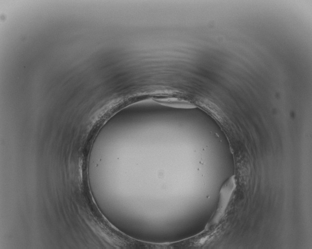 X0000063500350200601271750