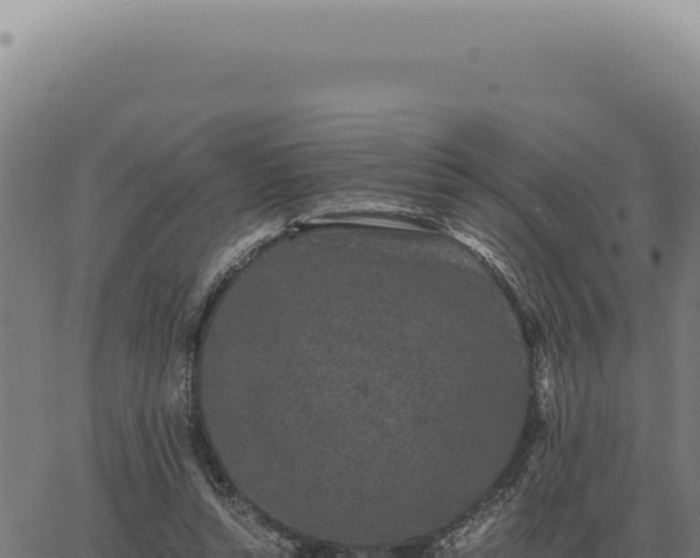 X0000063500352200601271751