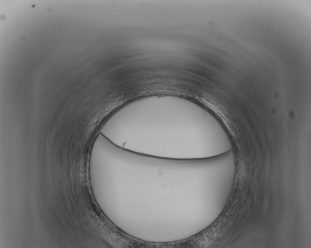 X0000063500353200601271751