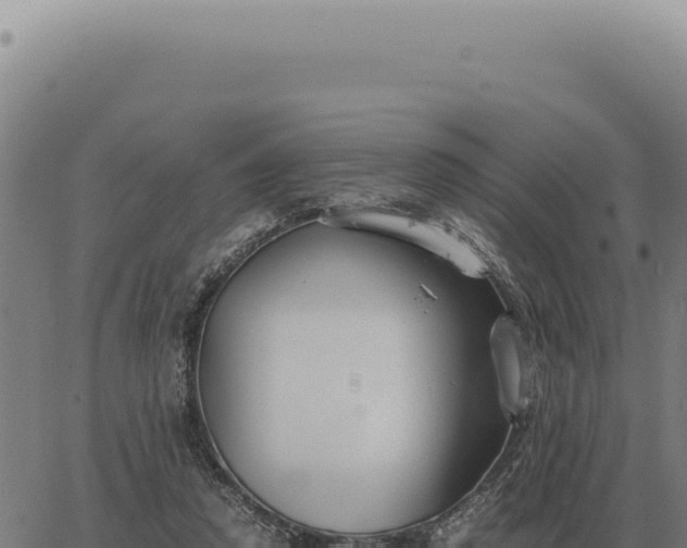 X0000063500354200601271751