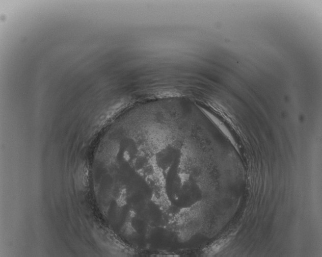 X0000063500355200601271751