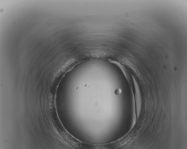 X0000063500356200601271751