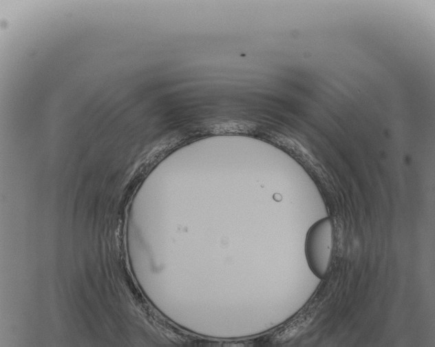 X0000063500357200601271751