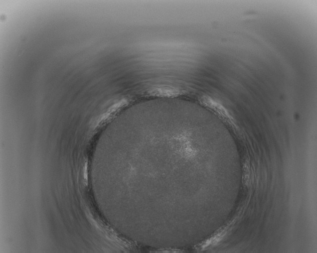 X0000063500358200601271751