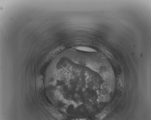 X0000063500361200601271751