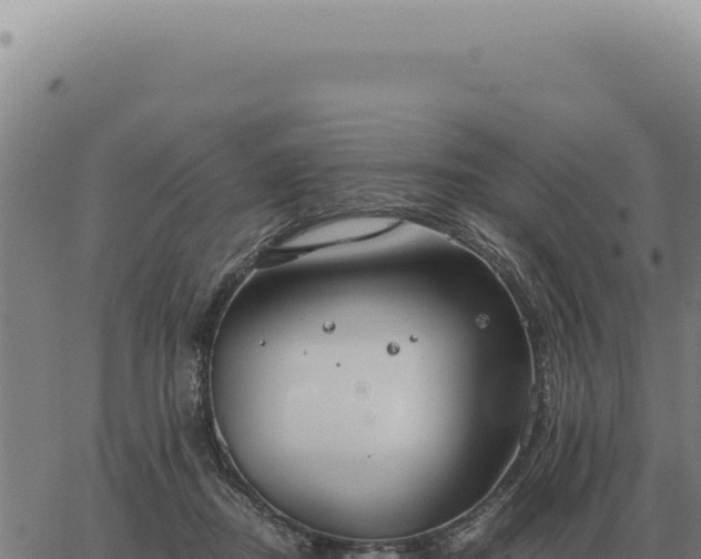 X0000063500362200601271751