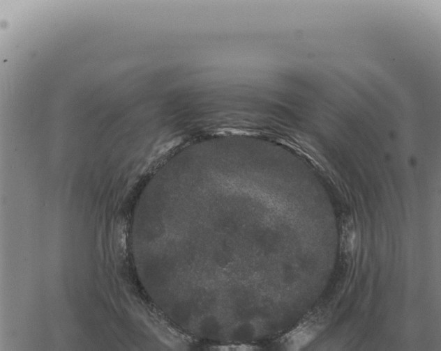 X0000063500363200601271751