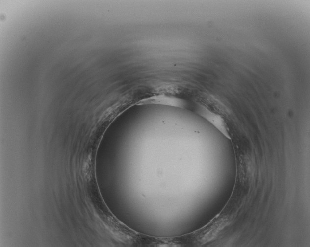 X0000063500364200601271751