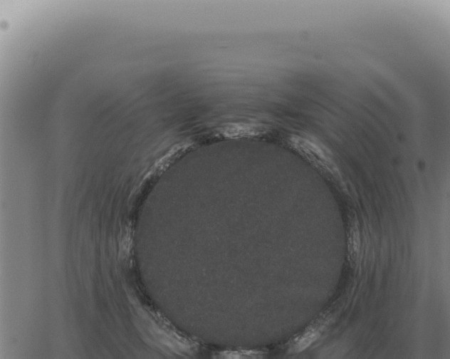 X0000063500367200601271751