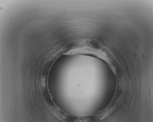 X0000063500368200601271751