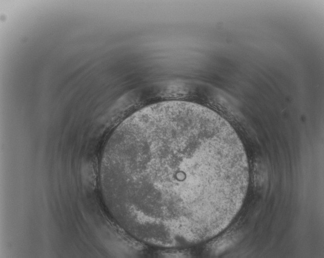 X0000063500370200601271751