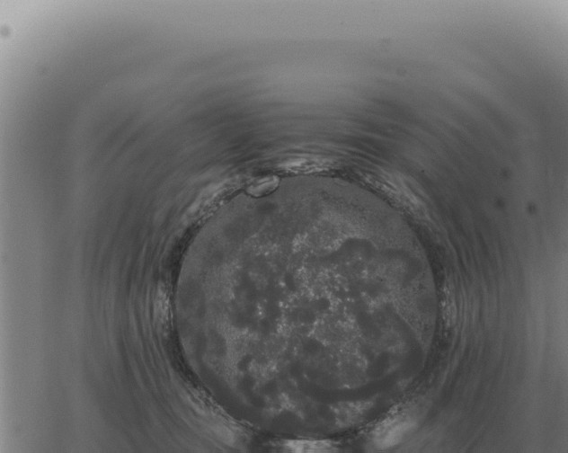 X0000063500371200601271751