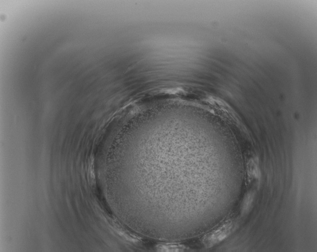 X0000063500372200601271751