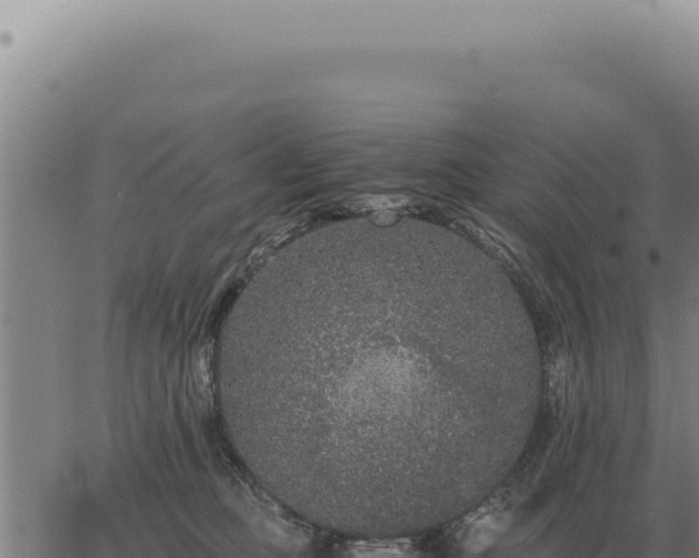 X0000063500373200601271751