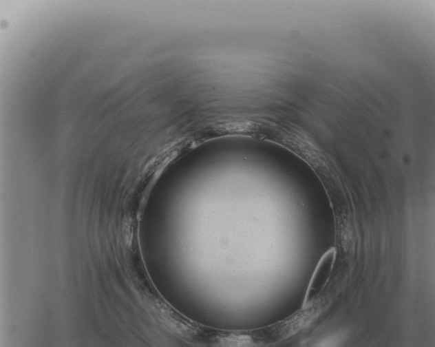 X0000063500374200601271751