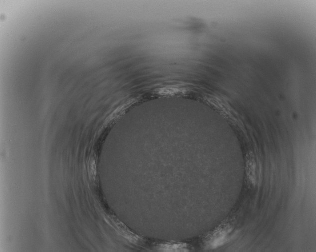 X0000063500375200601271751