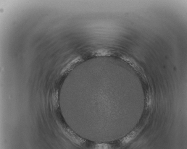 X0000063500376200601271751