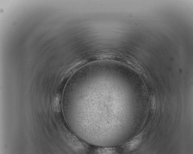 X0000063500378200601271751