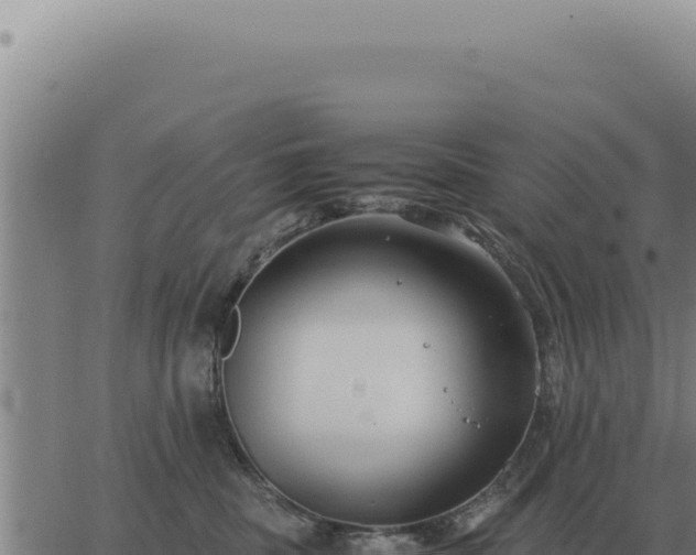 X0000063500379200601271751