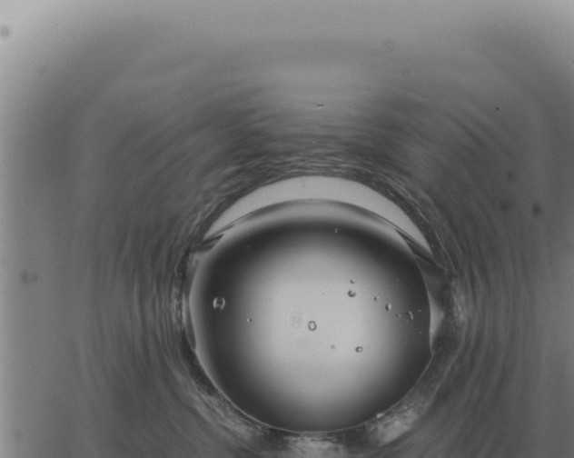 X0000063500380200601271751