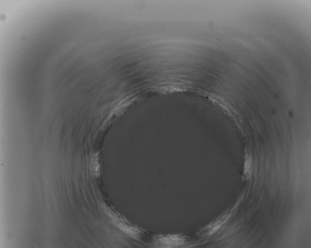 X0000063500383200601271751