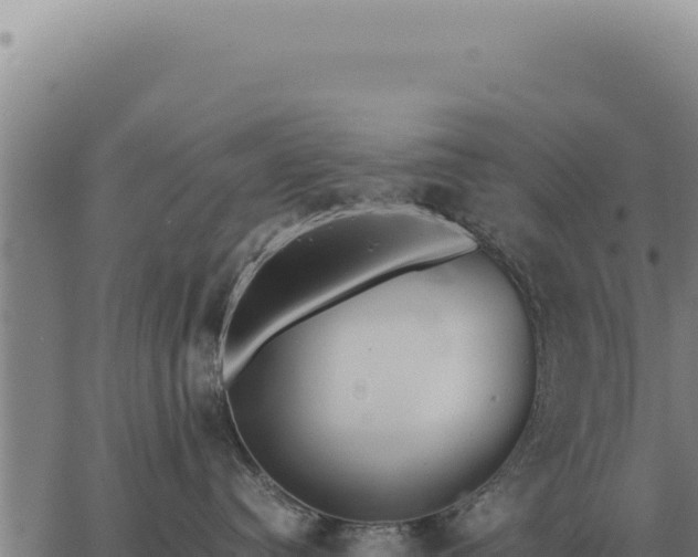 X0000063500384200601271751