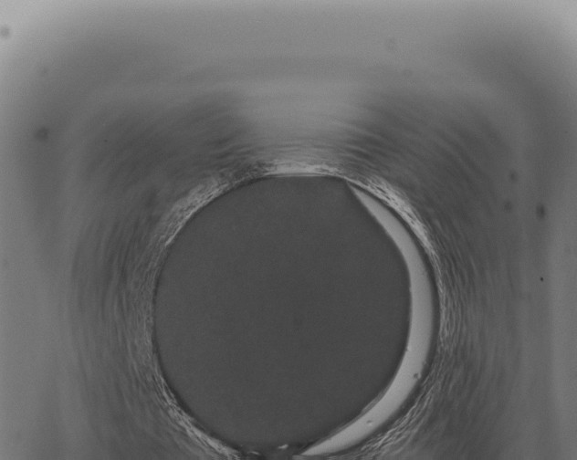 X0000063500385200601271750