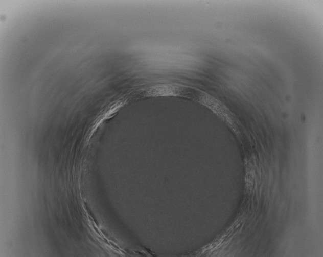 X0000063500386200601271750