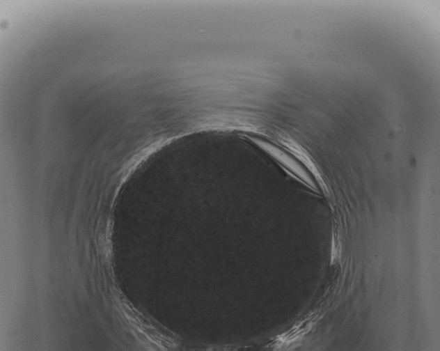 X0000063500387200601271750