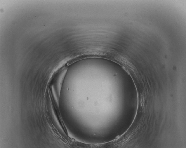 X0000063500388200601271750