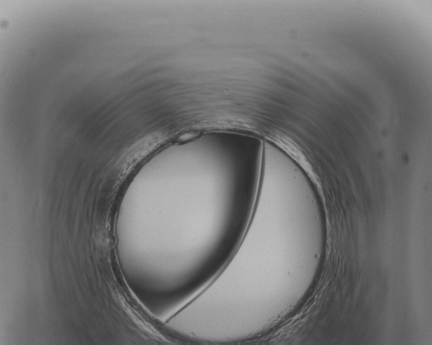 X0000063500389200601271750